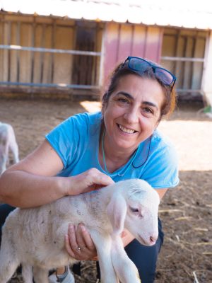 Farm visit in Calabria Experience Calabria Italian experiences