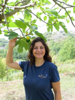 Fig picking calabria Vera Italia experience Italy